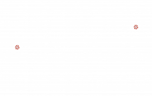 how devaworld section background img
